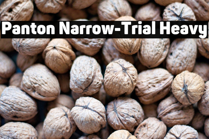 Panton Narrow-Trial Heavy Example 2
