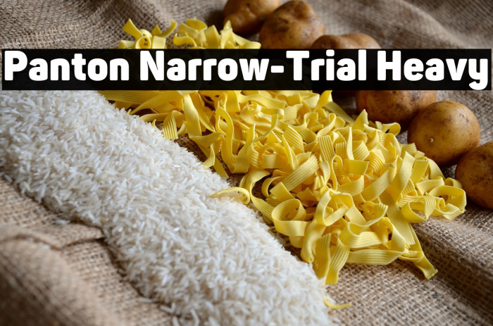 Panton Narrow-Trial Heavy Example 3