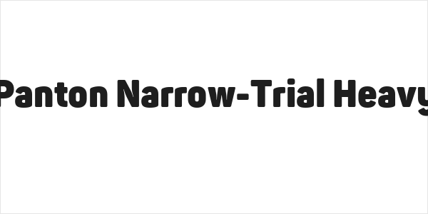 Panton Narrow-Trial Heavy Logo