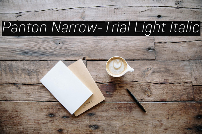 Panton Narrow-Trial Light Italic Example 1