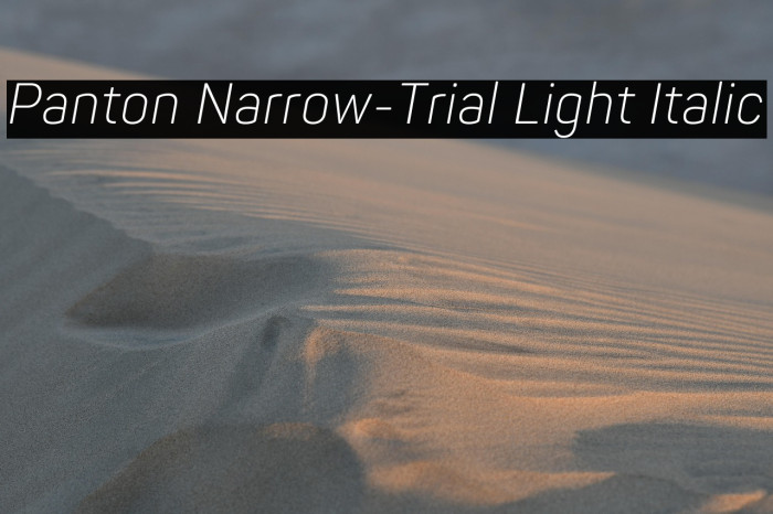 Panton Narrow-Trial Light Italic Example 2