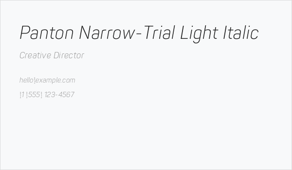 Panton Narrow-Trial Light Italic Business Card