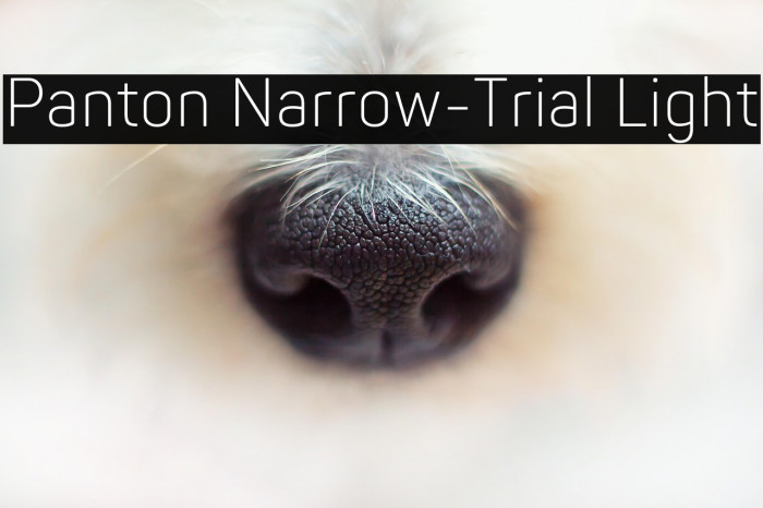 Panton Narrow-Trial Light Example 1