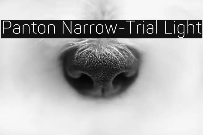Panton Narrow-Trial Light Font examples