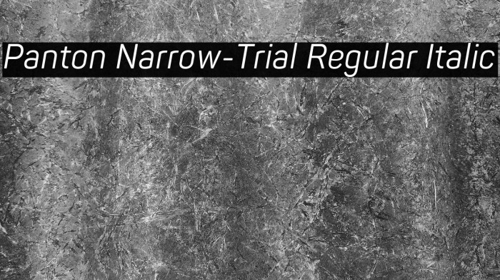 Panton Narrow-Trial Regular Italic Example 1