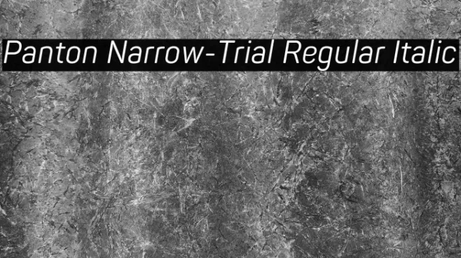 Panton Narrow-Trial Regular Italic Example 1
