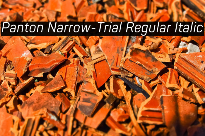 Panton Narrow-Trial Regular Italic Example 2