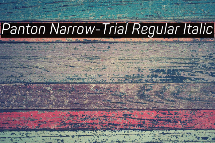 Panton Narrow-Trial Regular Italic Example 3