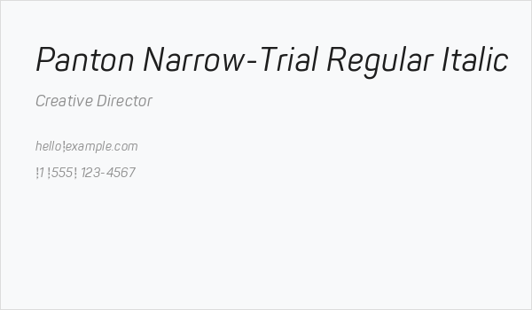 Panton Narrow-Trial Regular Italic Business Card