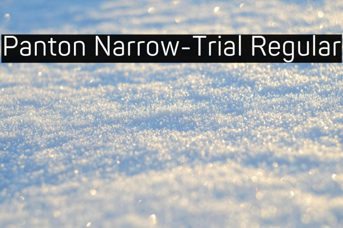 Panton Narrow-Trial Regular Example 1