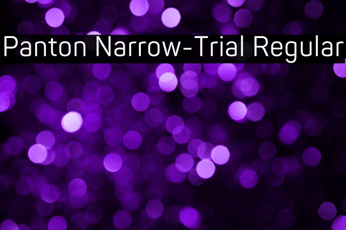 Panton Narrow-Trial Regular Example 2