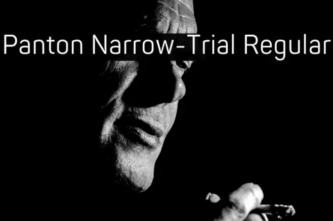 Panton Narrow-Trial Regular Font examples