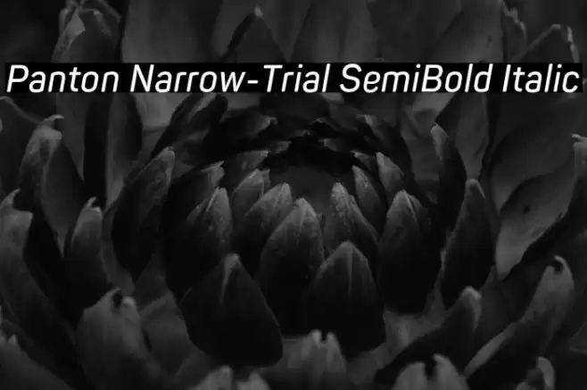 Panton Narrow-Trial SemiBold Italic Font examples