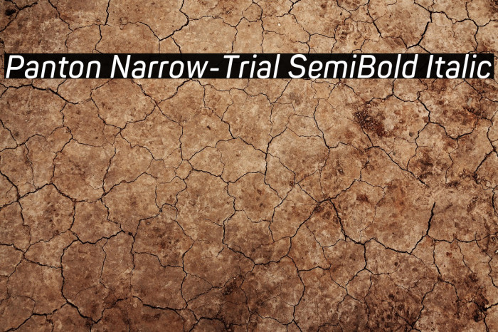 Panton Narrow-Trial SemiBold Italic Example 3