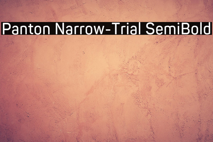 Panton Narrow-Trial SemiBold Example 1