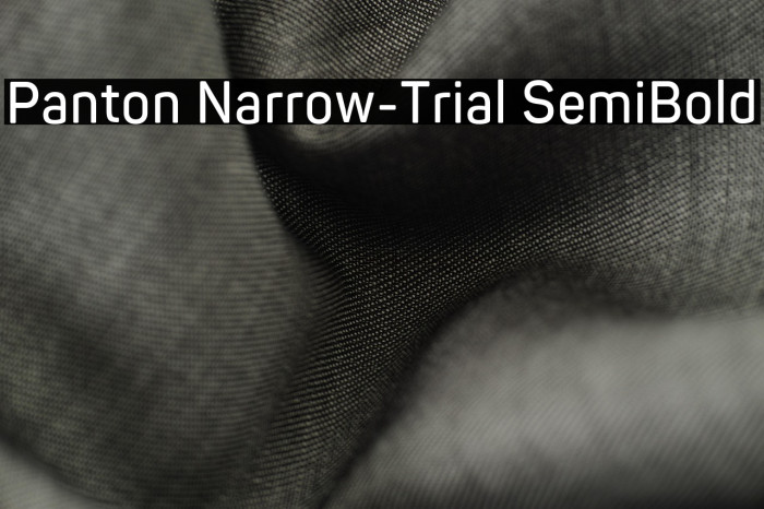 Panton Narrow-Trial SemiBold Example 2