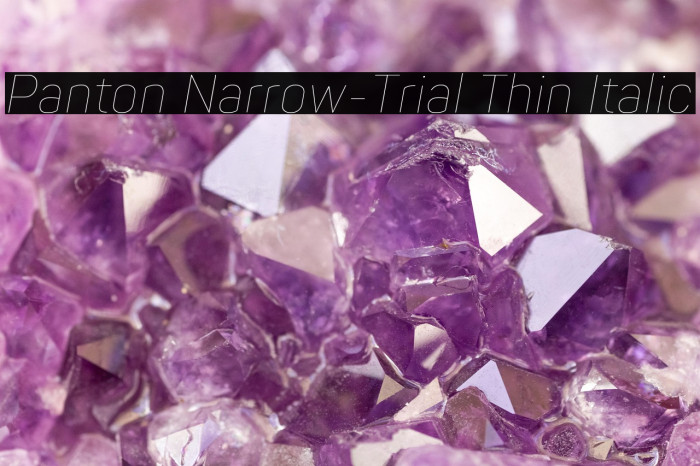 Panton Narrow-Trial Thin Italic Example 1