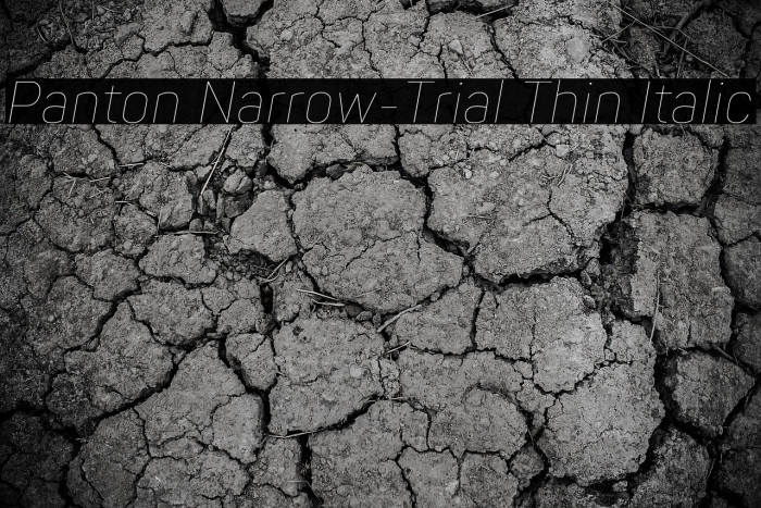Panton Narrow-Trial Thin Italic Example 3