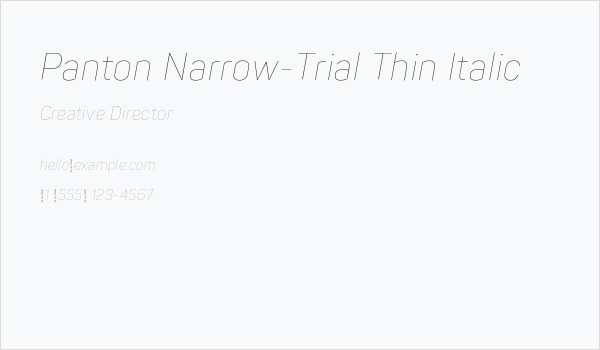 Panton Narrow-Trial Thin Italic Business Card