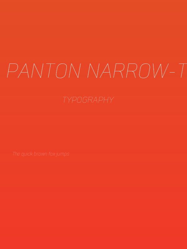 Panton Narrow-Trial Thin Italic Poster
