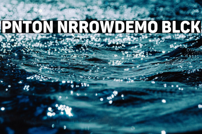 Panton NarrowDemo Black Example 3