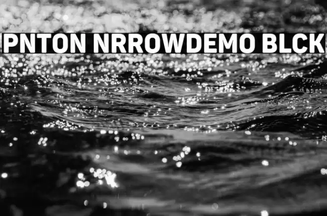 Panton NarrowDemo Black Font examples