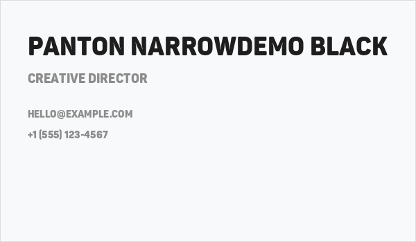 Panton NarrowDemo Black Business Card