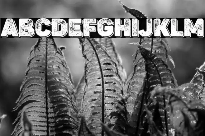 Panton Rust Heavy Grunge Shadow Font examples