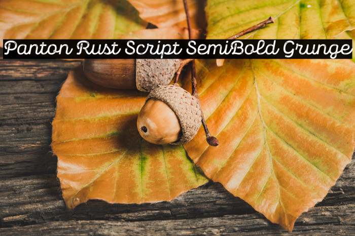 Panton Rust Script SemiBold Grunge Example 1
