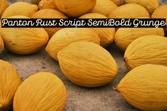 Panton Rust Script SemiBold Grunge Example 2