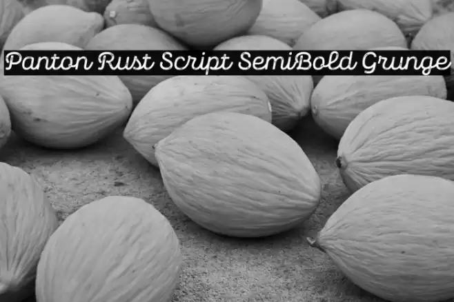 Panton Rust Script SemiBold Grunge Font examples