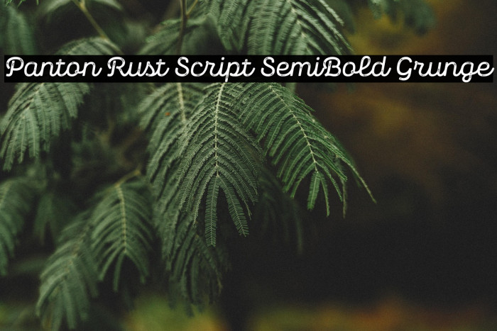 Panton Rust Script SemiBold Grunge Example 3