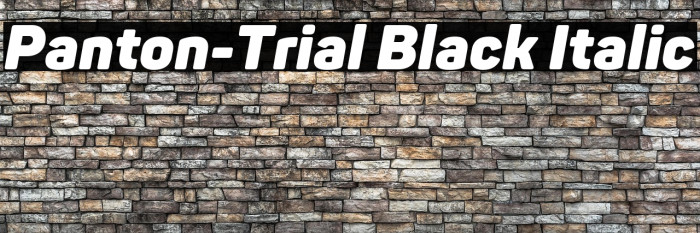 Panton-Trial Black Italic Example 1