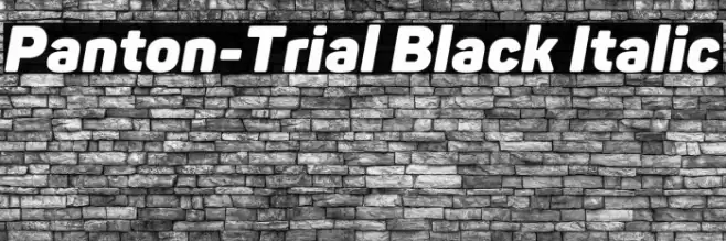 Panton-Trial Black Italic Font examples
