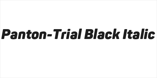 Panton-Trial Black Italic Logo