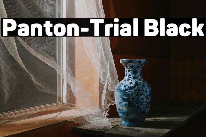 Panton-Trial Black Example 1