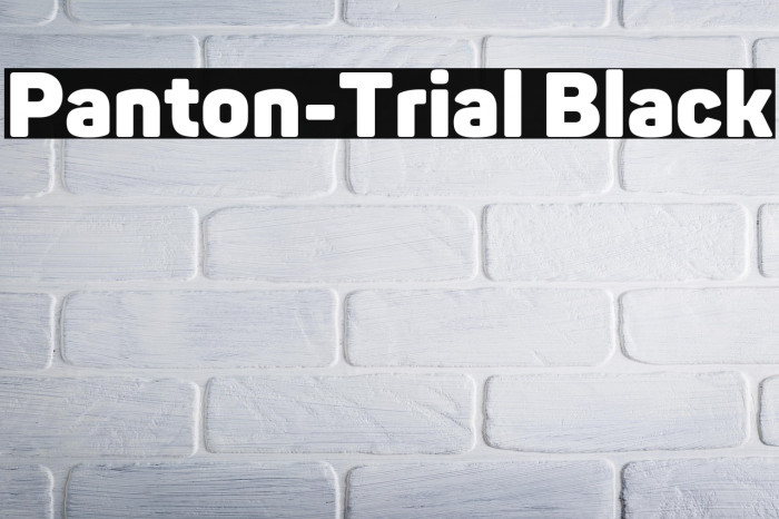 Panton-Trial Black Example 2