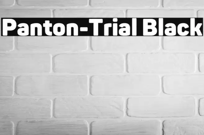 Panton-Trial Black Font examples