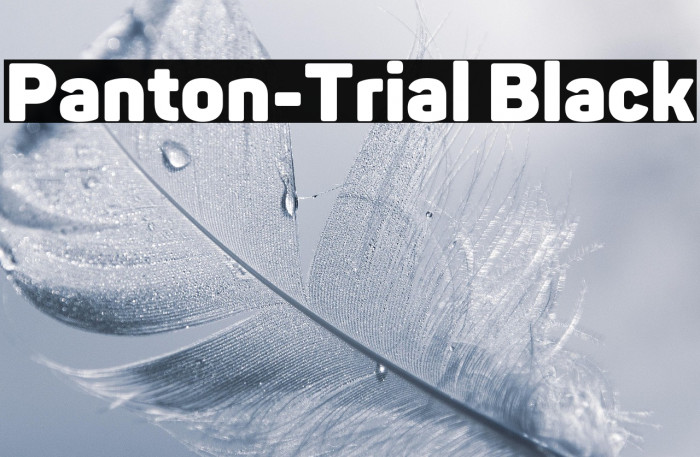 Panton-Trial Black Example 3