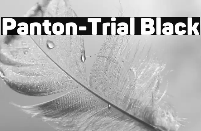 Panton-Trial Black Font examples