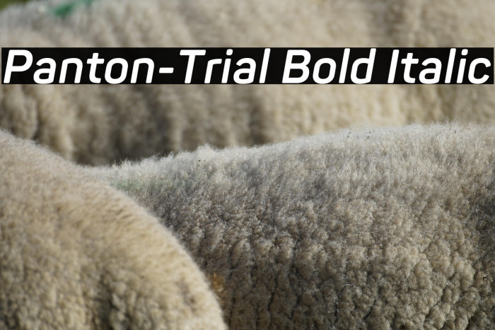 Panton-Trial Bold Italic Example 1