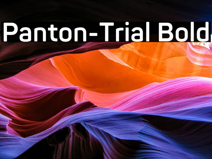 Panton-Trial Bold Example 1
