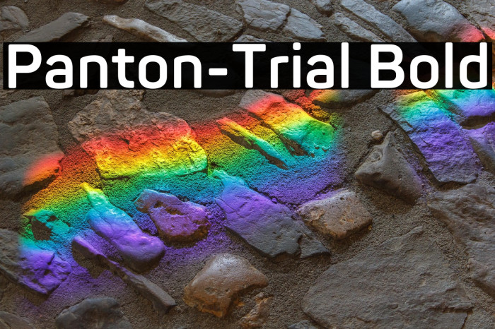 Panton-Trial Bold Example 2