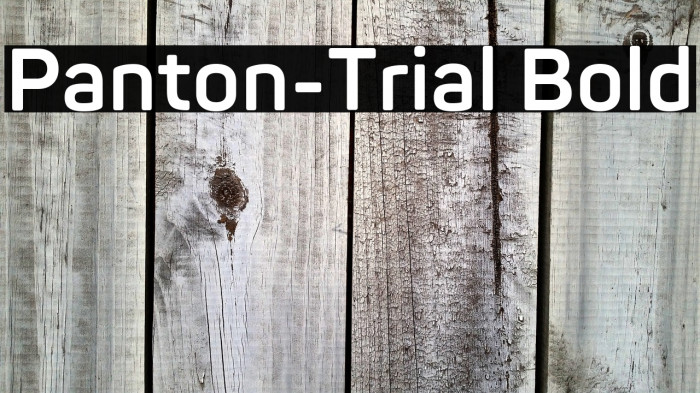 Panton-Trial Bold Example 3