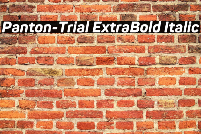 Panton-Trial ExtraBold Italic Example 1