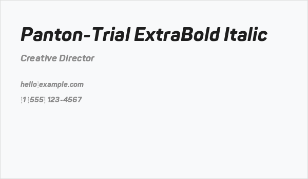 Panton-Trial ExtraBold Italic Business Card
