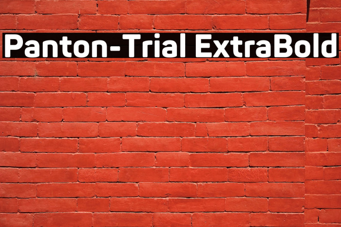 Panton-Trial ExtraBold Example 1