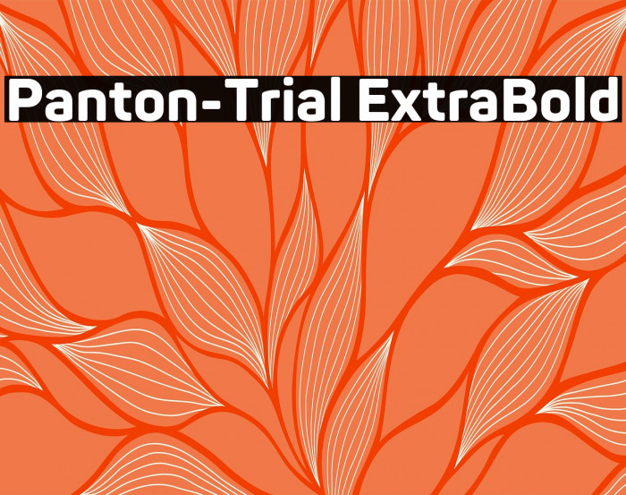Panton-Trial ExtraBold Example 3