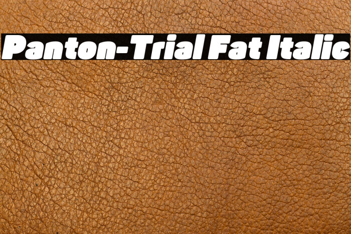 Panton-Trial Fat Italic Example 3