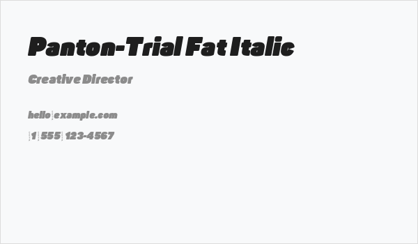Panton-Trial Fat Italic Business Card